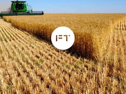 Костромские сельхозорганизации поставили рекорд урожайности