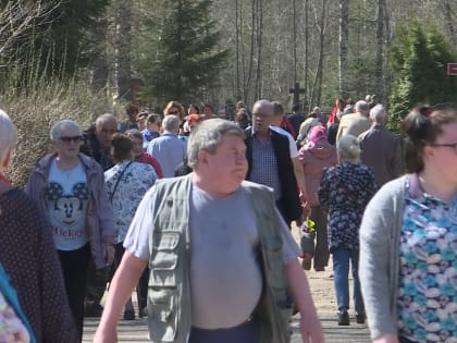 На костромских кладбищах было необычайно людно