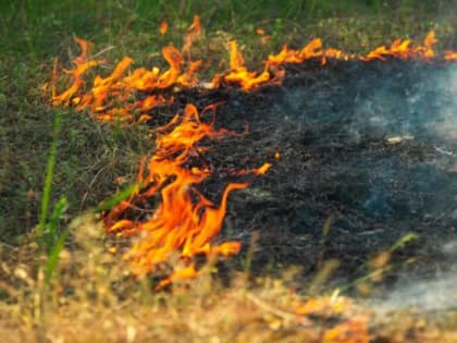 В Костромской области начался пожароопасный сезон