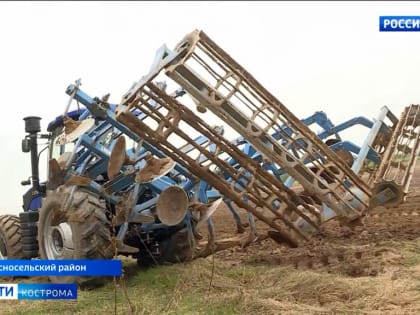 Костромские аграрии уже заработали 31 миллион рублей на будущем урожае