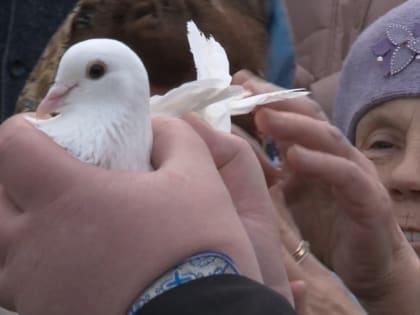 Священники в Костроме выпустят в небо белых голубей