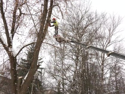 Подготовка к благоустройству