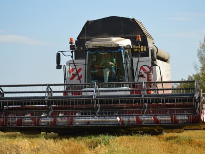 Завершилась уборка зерновых