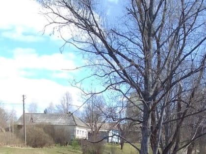 В Андреевском провели экологический субботник