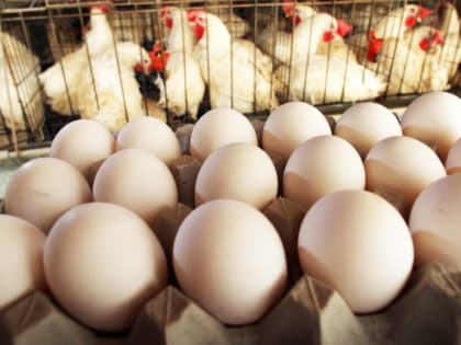 Где логика: в Костромской области подорожали яйца, но подешевела курица