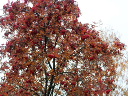 О погоде: прогнозируется ухудшение погодных условий