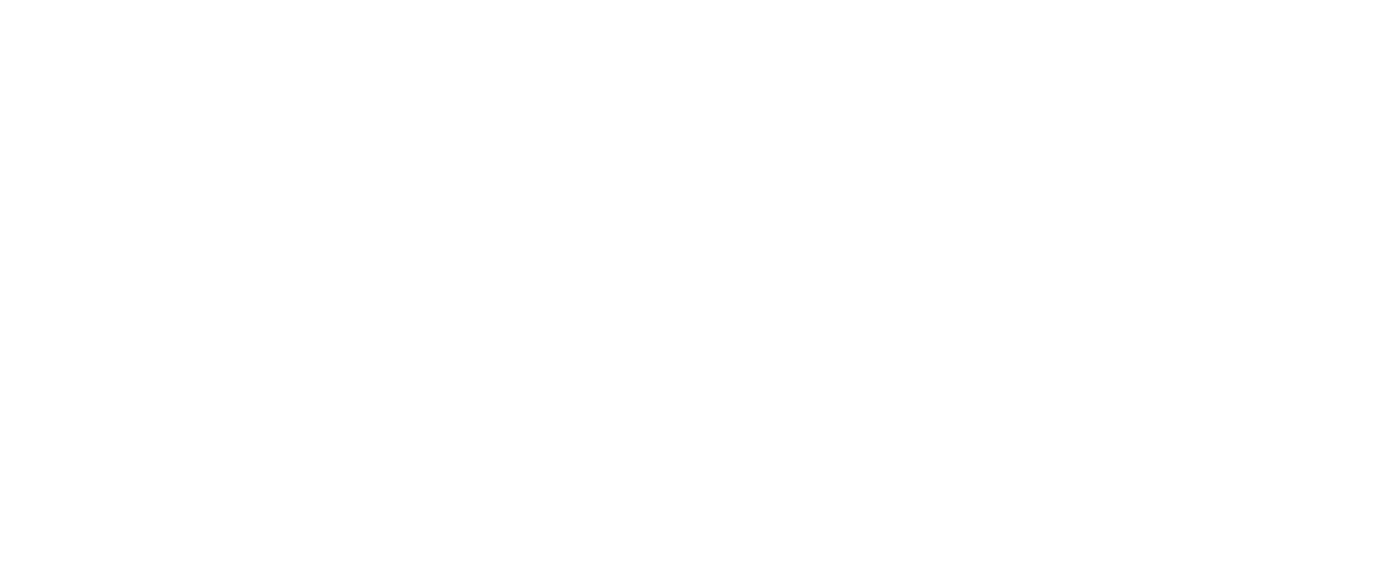 Bird Capital