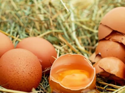 Цены на яйца в Кубани: Причины роста и последствия для потребителей