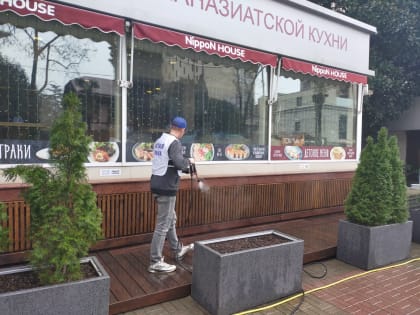 В Центральном районе Сочи прошел субботник в рамках проекта «Чистая страна»