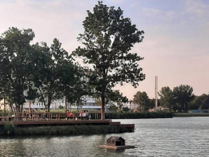 Тепло и дождливо!