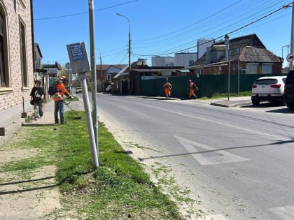 В Краснодаре будут косить сорняки на 112 магистральных улицах дважды в месяц