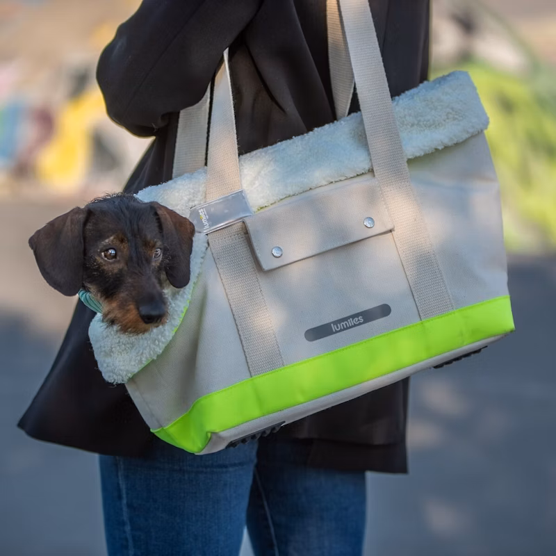 The Canvas Bag (Tragetasche Für Kleine Hunde)
