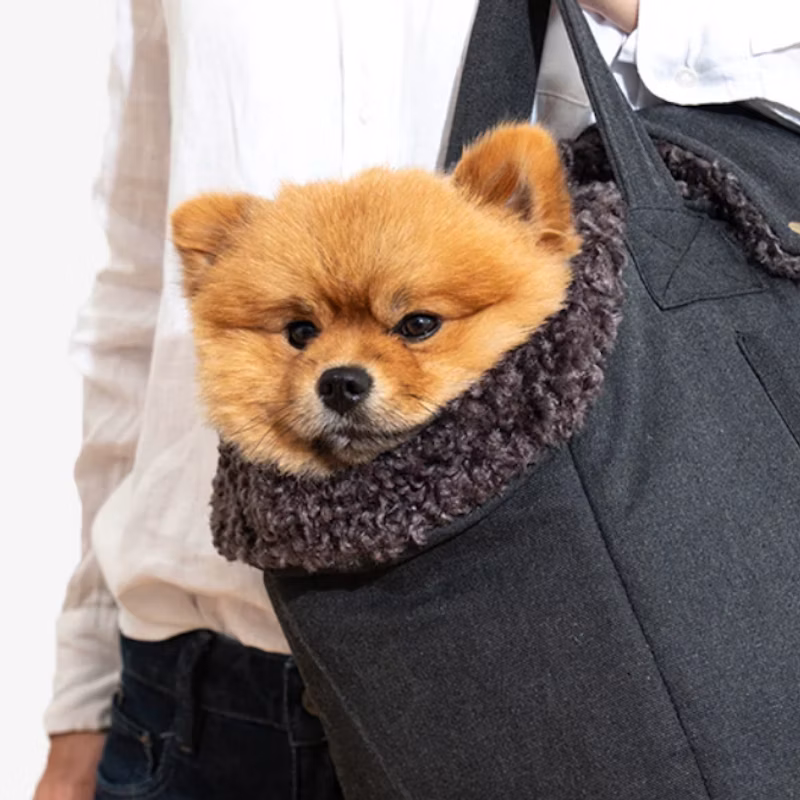 Lucky Canvas - Luxus-Hundetasche In Graphit