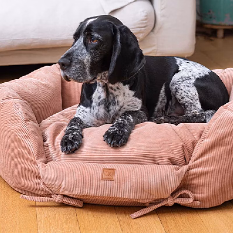 Ronny Cord – Luxus-Hundebett In Altrosa
