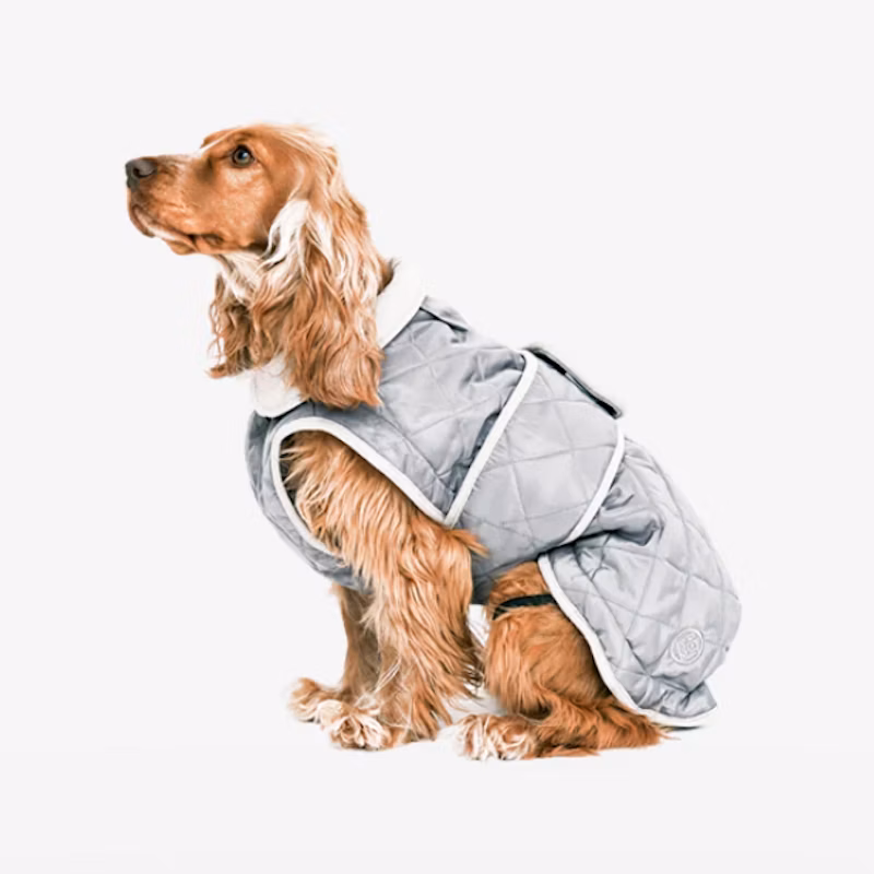 Finn - Wattierter Mantel - Gray