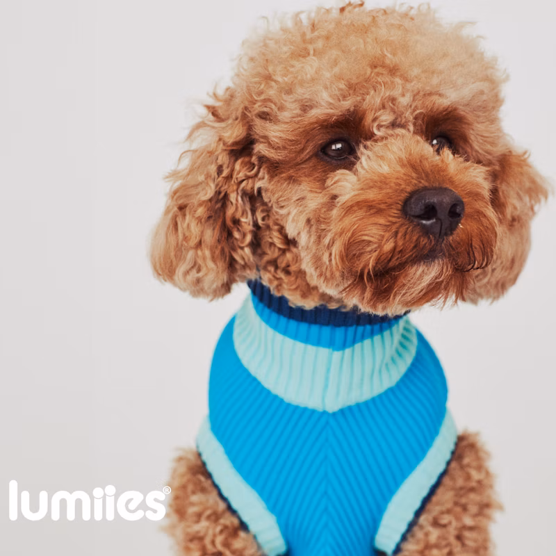 THE GLOW JUMPER – Crystal Sky