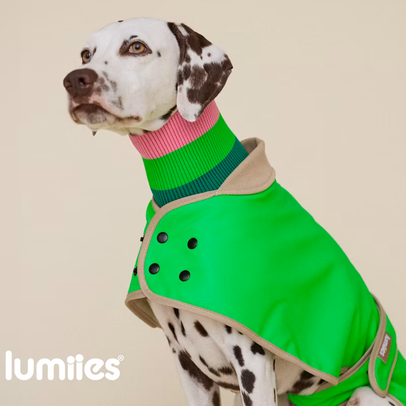 The Glow Raincoat – Neon Green Gecko – Regular Fit