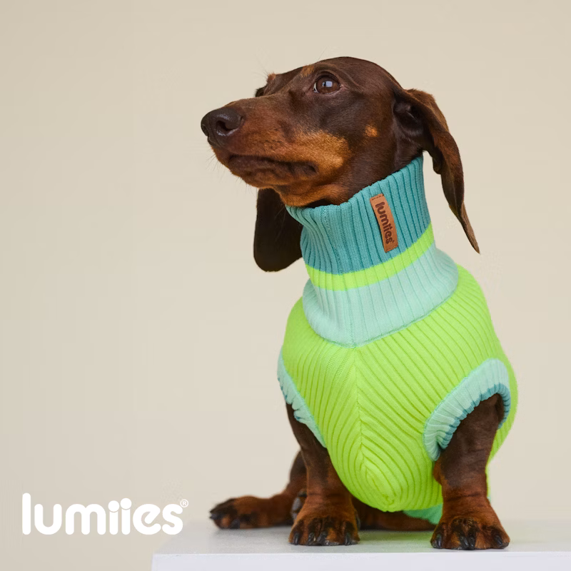 THE GLOW JUMPER – Neon Matcha