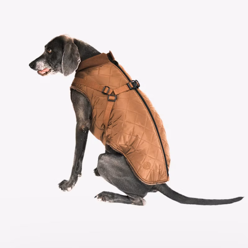 Ruby - Wattierter Mantel Mit Geschirr - Brown