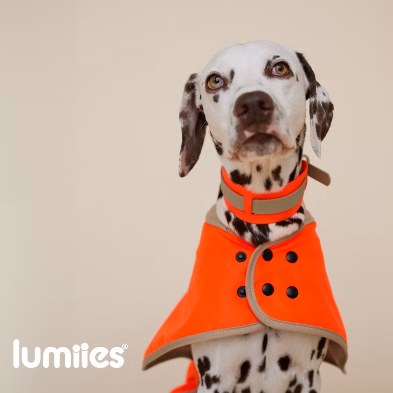 The Glow Raincoat – Neon