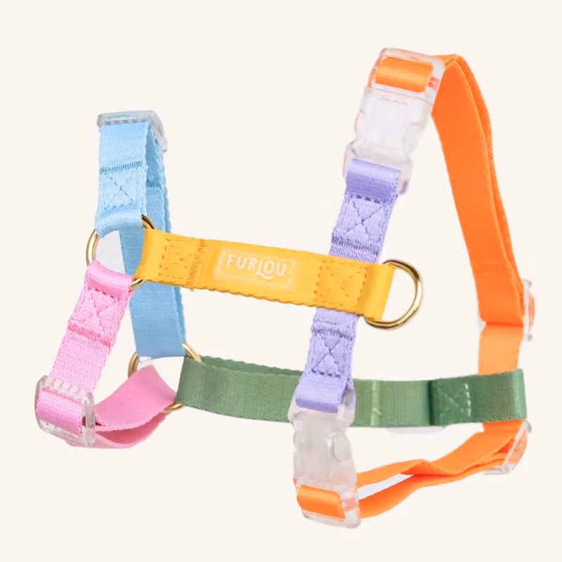 Rainbow Hundegeschirr