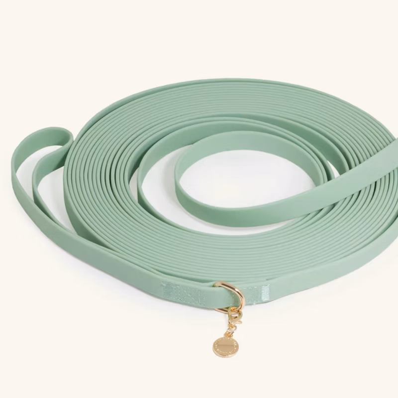 9m wasserdichte Hundeleine – Pistazie