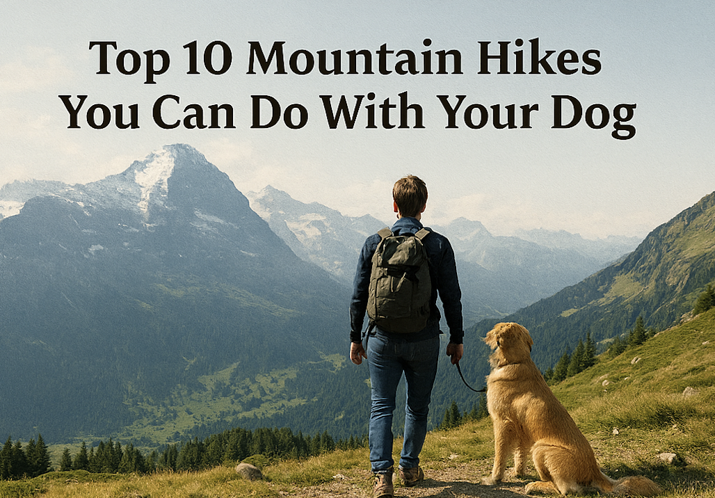 Top 10 Bergwanderungen, die du mit deinem Hund machen kannst