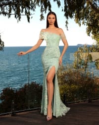 Daria — robe longue fourreau dentelle tulle épaules drapé taille fente