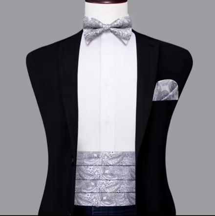 Ensemble ceinture de smoking + nœud papillon + pochette fantaisie