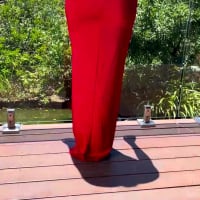 Romane — robe longue fourreau satin décolleté V dos nu laçage
