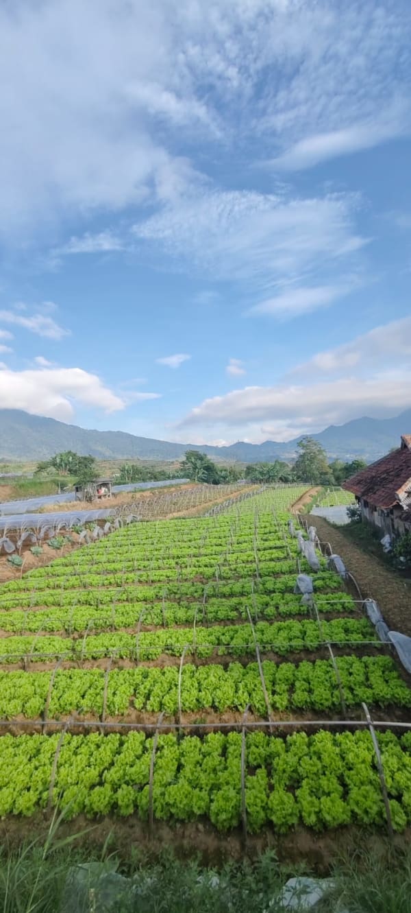 Green Fresh Supply Documentation 3