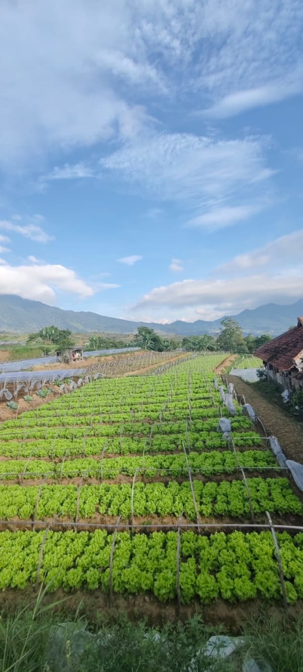 Green Fresh Supply Documentation 4