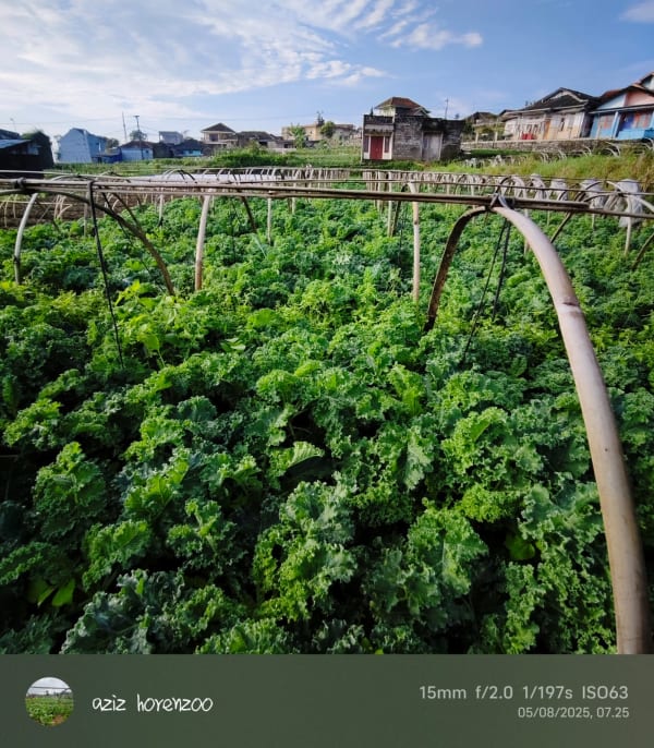 Green Fresh Supply Documentation 6