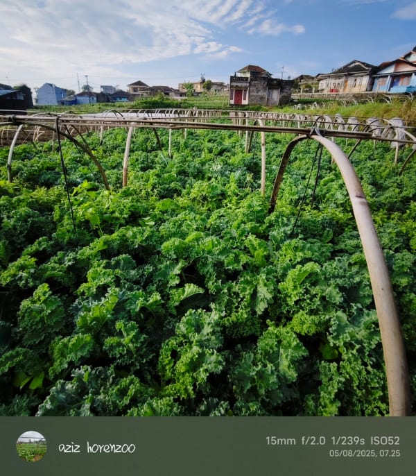 Green Fresh Supply Documentation 7