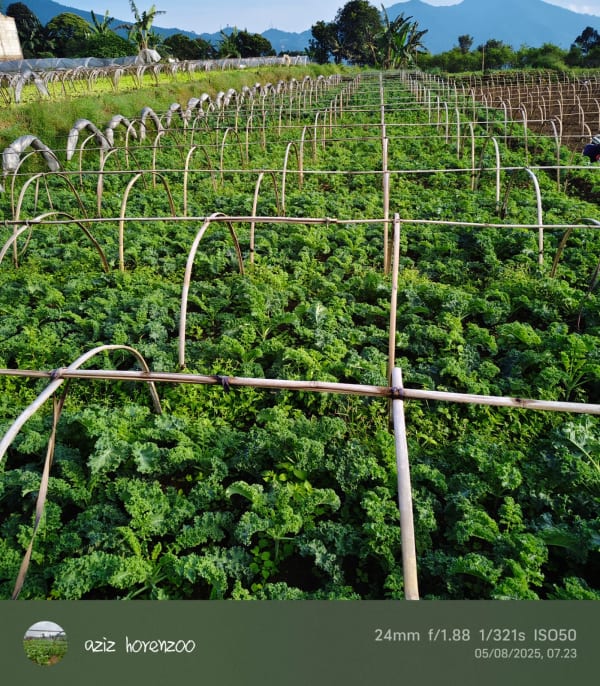 Green Fresh Supply Documentation 8