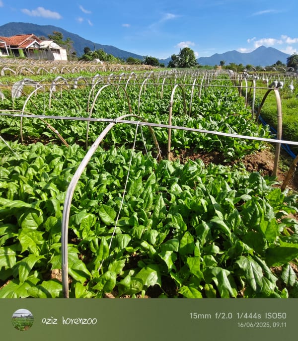 Green Fresh Supply Documentation 10