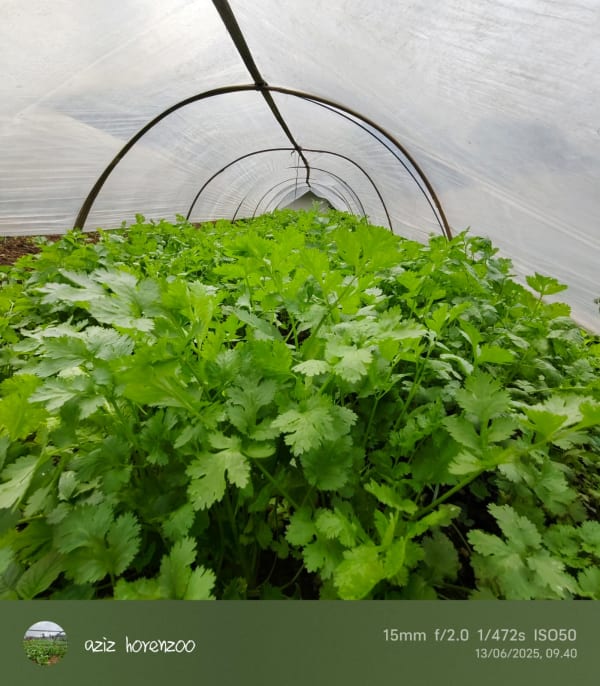 Green Fresh Supply Documentation 11