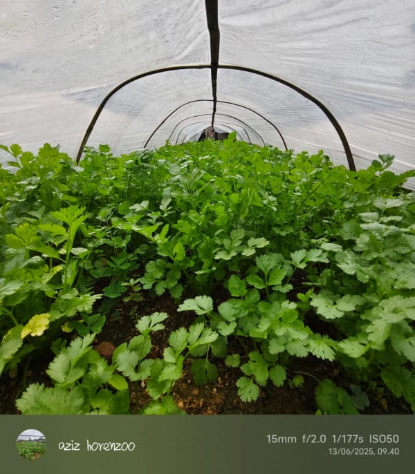 Green Fresh Supply Documentation 12