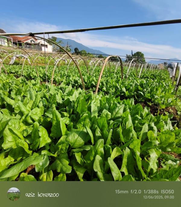 Green Fresh Supply Documentation 14