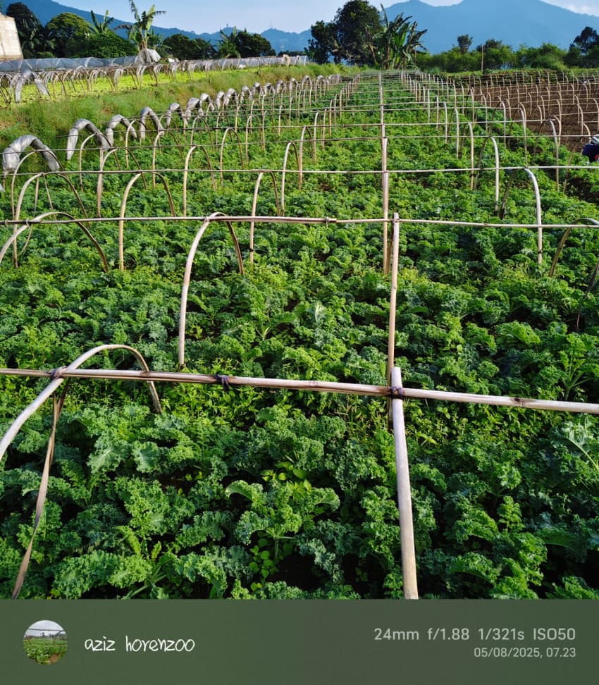 Operasional armada distribusi Green Fresh di Jakarta Selatan Senopati