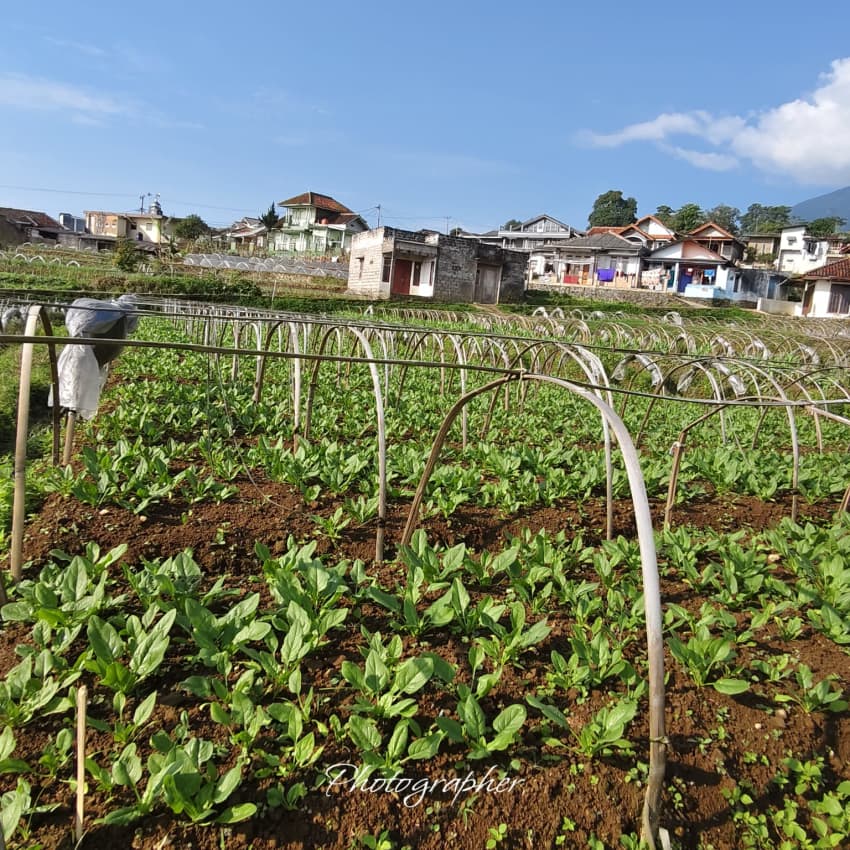 Operasional armada distribusi Green Fresh di Bekasi Kota