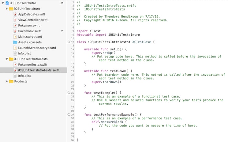 The default Unit Test Case