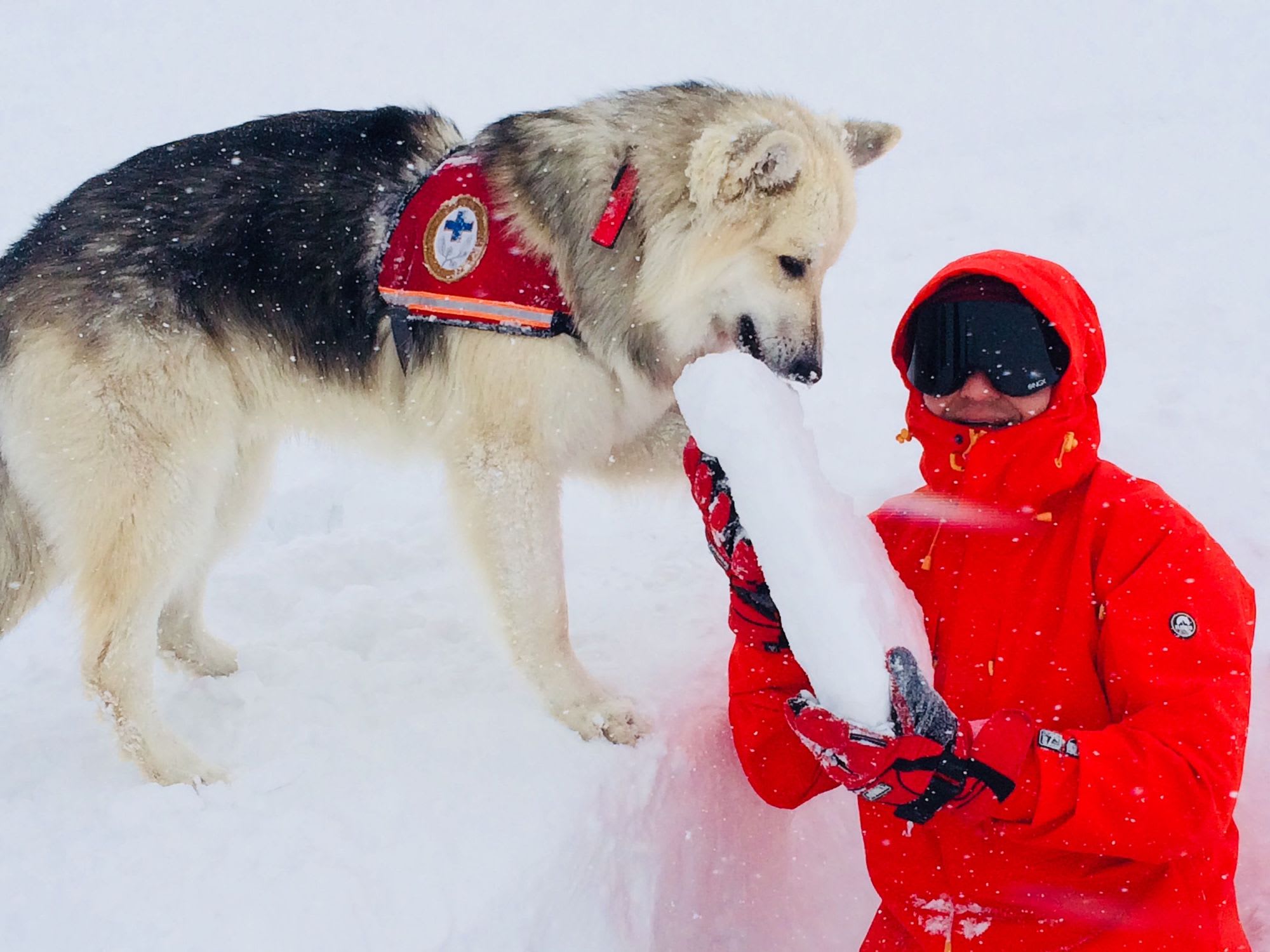 How to Avoid Getting Caught in an Avalanche