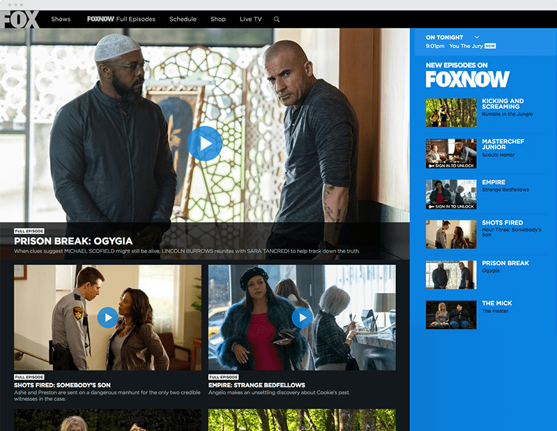 Case study foxes picture