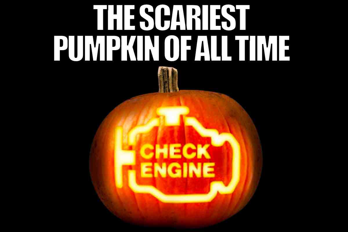 25 Best Pumpkin Memes And Jokes For Fall Lovers