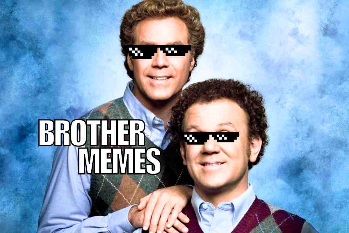 25 Best Brother Memes To Troll Your Sibling (or Laugh Together)