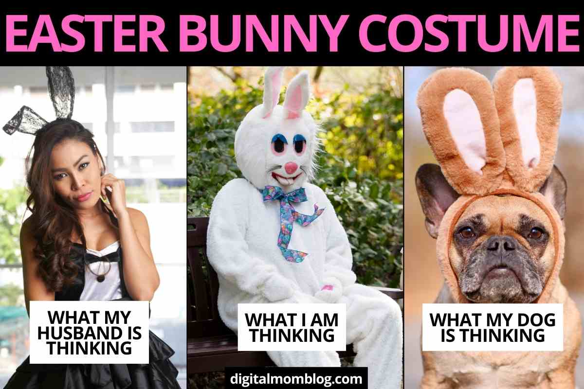 15 Easter Bunny Memes That Will Make Your Holiday Egg-stra Hilarious