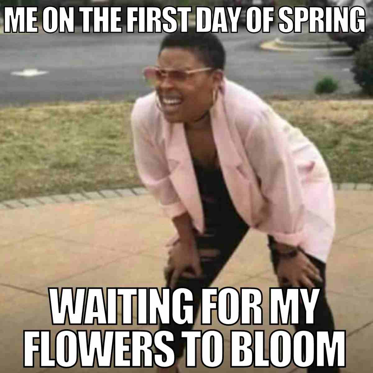 50 Funny Spring Memes To Have You Laughing All Season Long