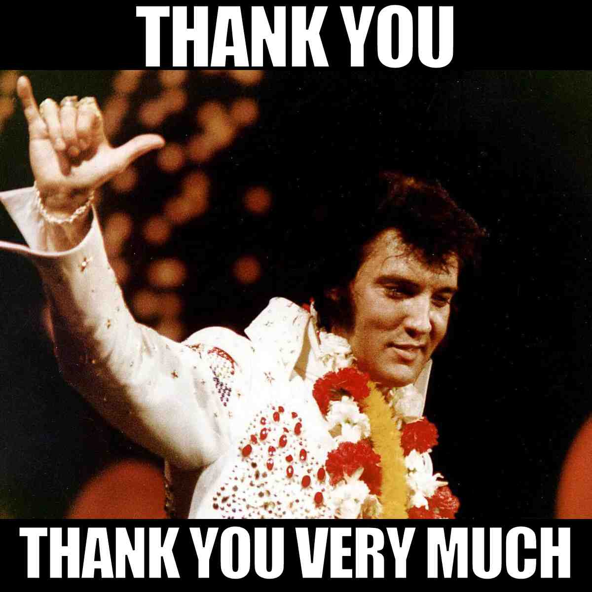 20 Amazing Elvis Memes That Will Have You All Shook Up