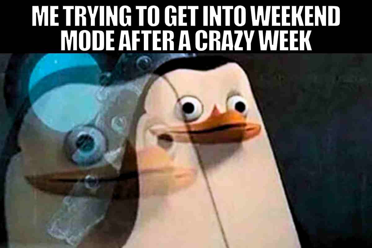 25 Weekend Memes That Will Make You Forget About Monday